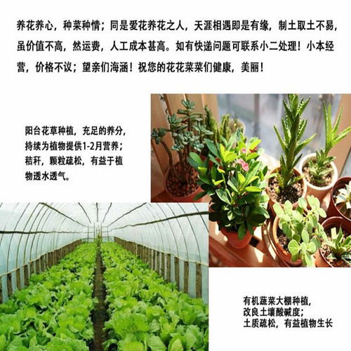 營養土種菜種花多肉綠蘿肥料花土發財樹盆栽種植土有機土通用10斤