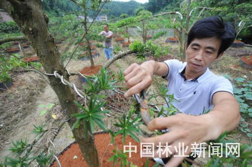 安?；井a品暢銷