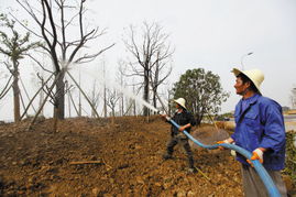 寧波植物園 萬株苗木育生態，百樣花卉綻芳華